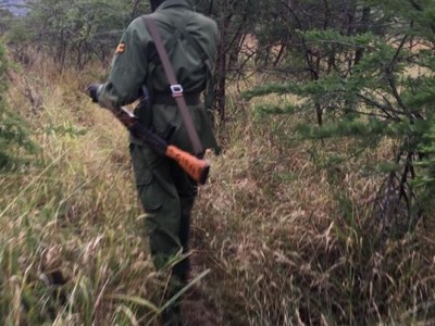 Me – Faint Hearted?&nbsp;You