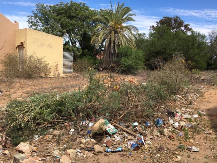 14670614_1351465641539204_1150397504879012575_n