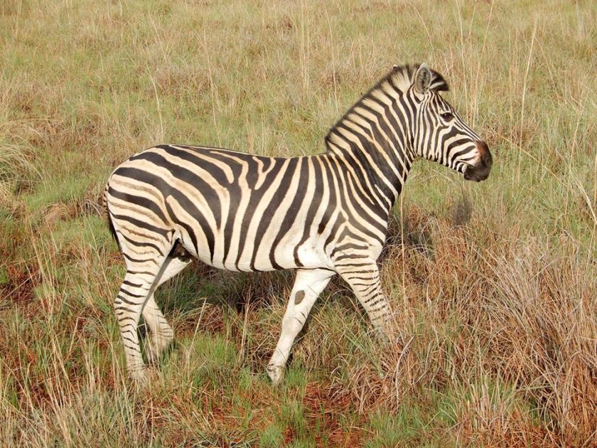 14980613_10207978880449545_505825706512541518_n