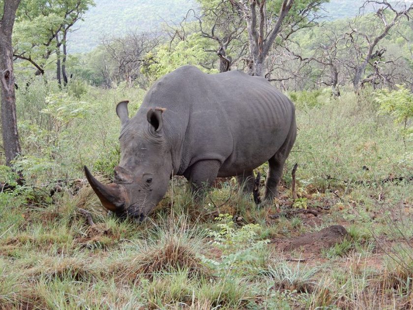 14991954_10207978876489446_8999885026568924371_n