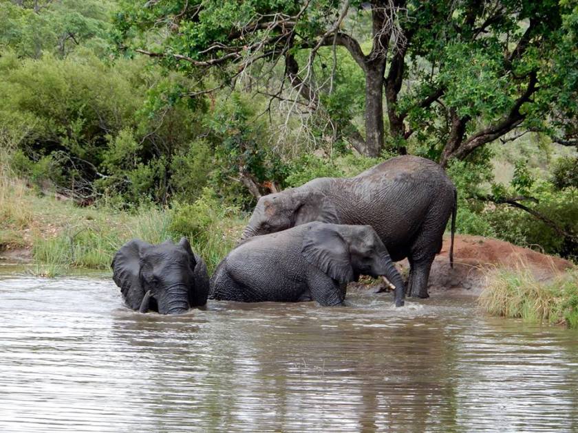 15055876_10207978899290016_5913895216790438146_n