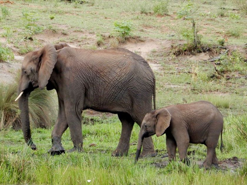 15078643_10207978905770178_2973279207204460990_n