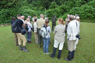 Birth of a Mountain Gorilla