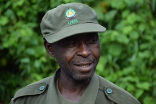 Birth of a Mountain Gorilla