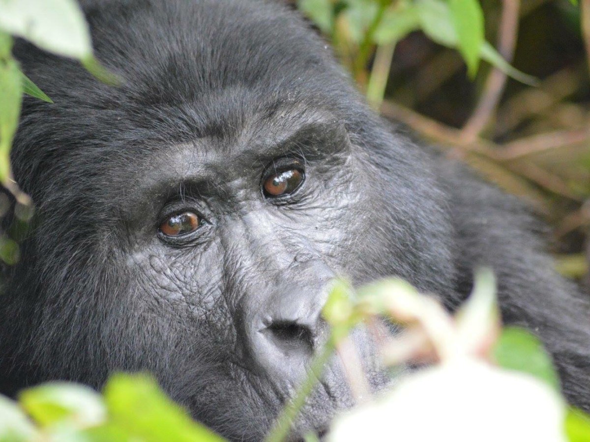 A Remarkable Experience