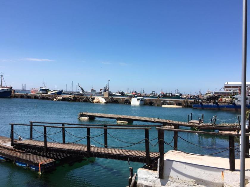 14581371_1354995131186255_6228501265048689890_n