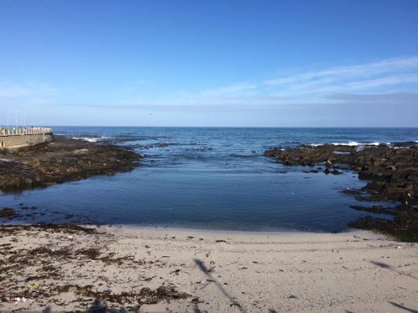 14725688_1356800187672416_6307982680117769908_n-1