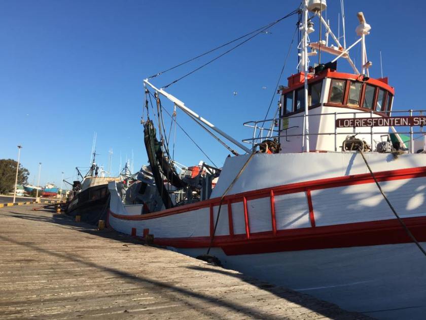 14732304_1354279881257780_6099778843590569933_n