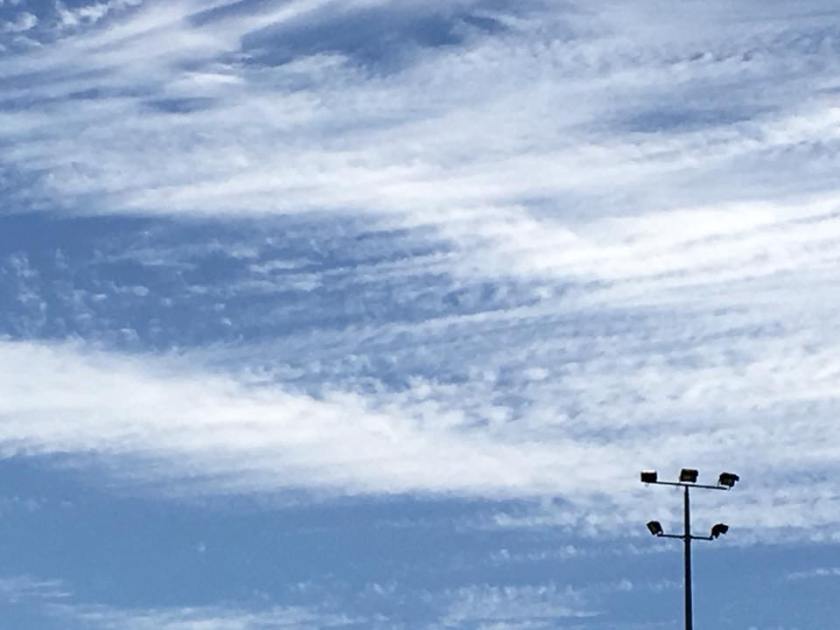 16142919_1460264277326006_8448893302769177127_n