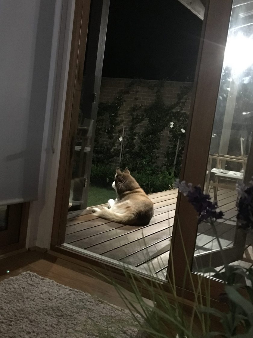 16300334_1464905420195225_2213994860600042688_o