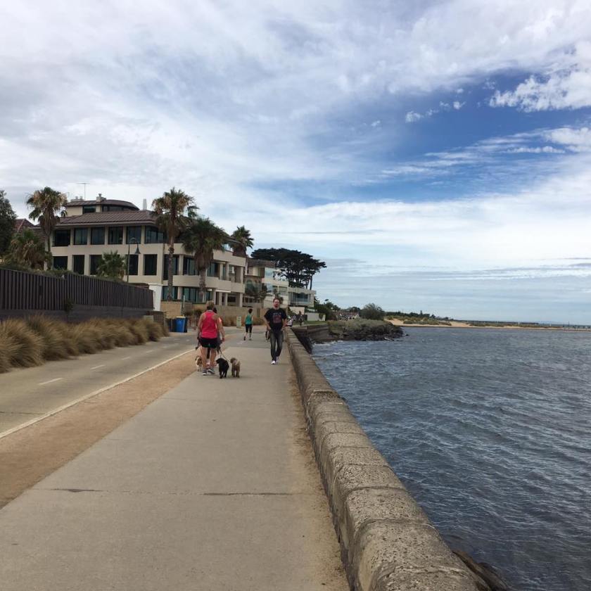 16387023_1471529826199451_4743361376156134292_n