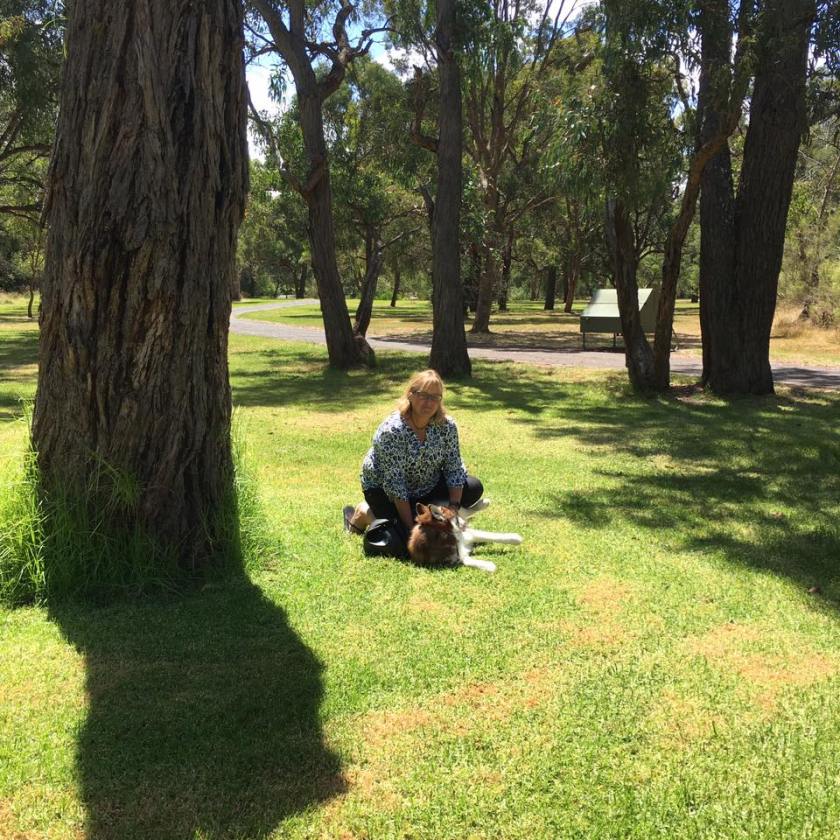 16388011_1466431793375921_7144483965931381176_n