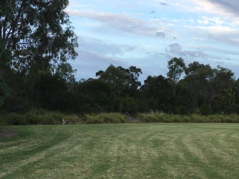 16508089_1475484502470650_4384215860693752481_n