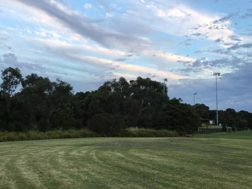 16640870_1475484519137315_2719303314438338058_n