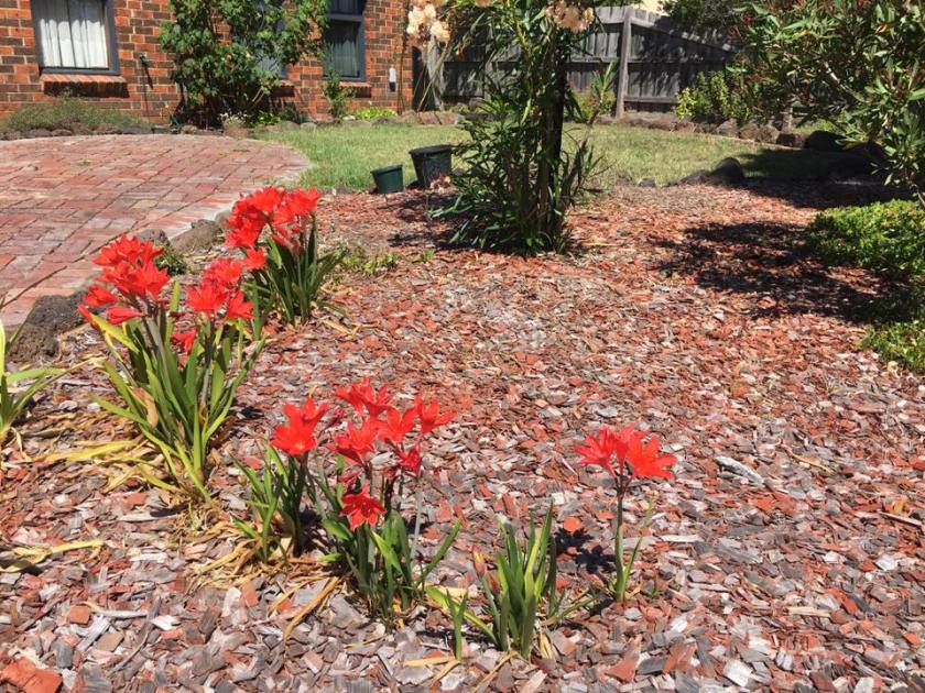 16708178_1477173062301794_5725218472470916976_n