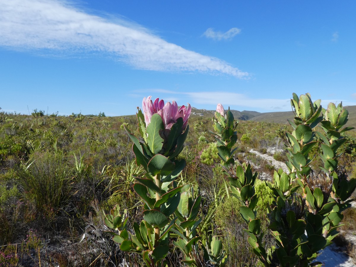 Day zero – Farm&nbsp;215