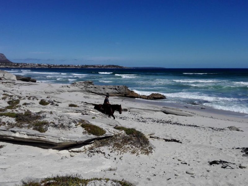 Day 2 – long, long, remarkable 