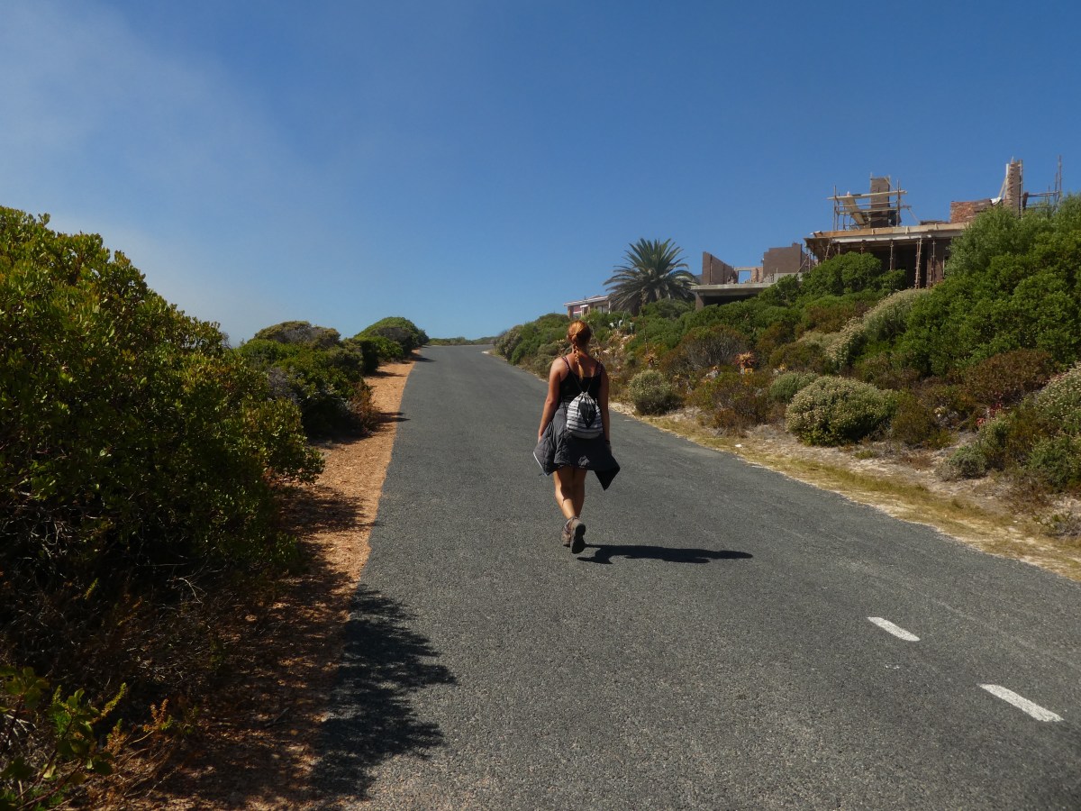 Day 4: An easy walk&nbsp;😜??