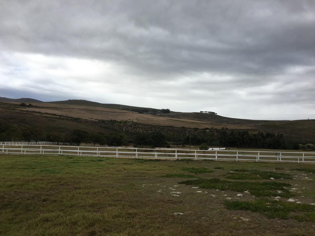 Day 5 : Leaving something on the table 