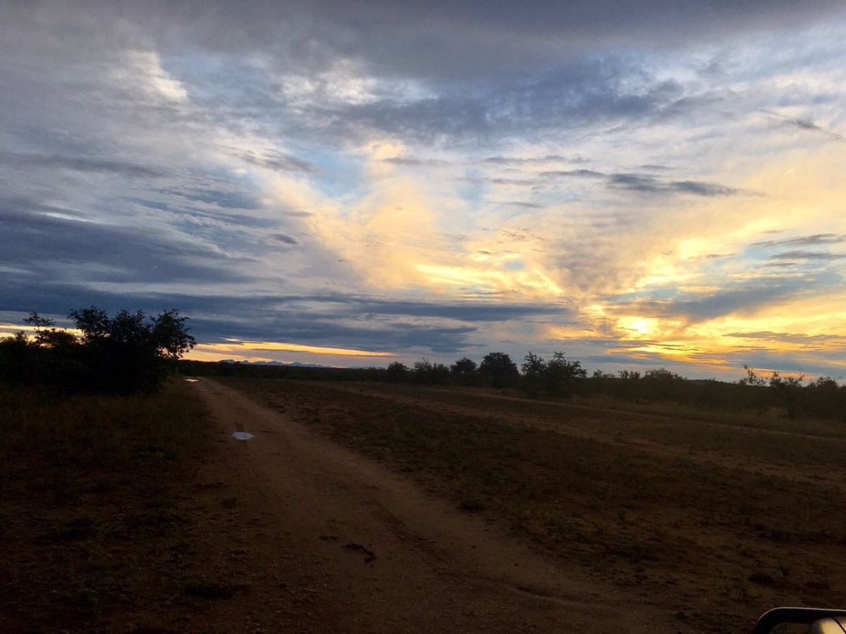 There’s more to The&nbsp;Bush