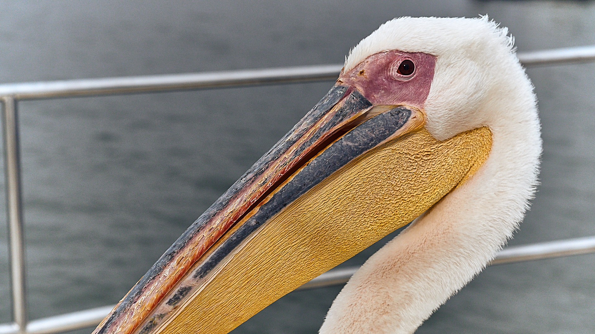 20180108 - WALVISBAY JAN 2018_01