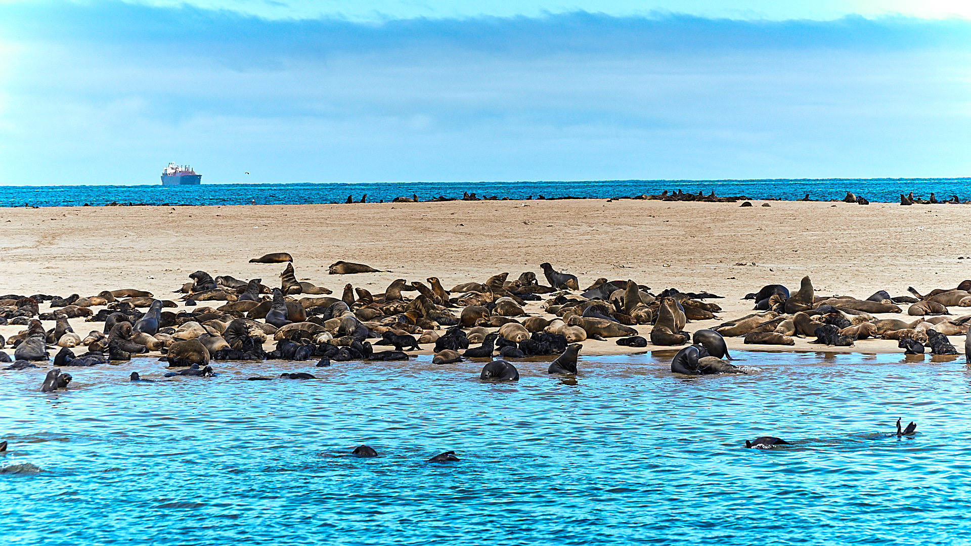 20180108 - WALVISBAY JAN 2018_09