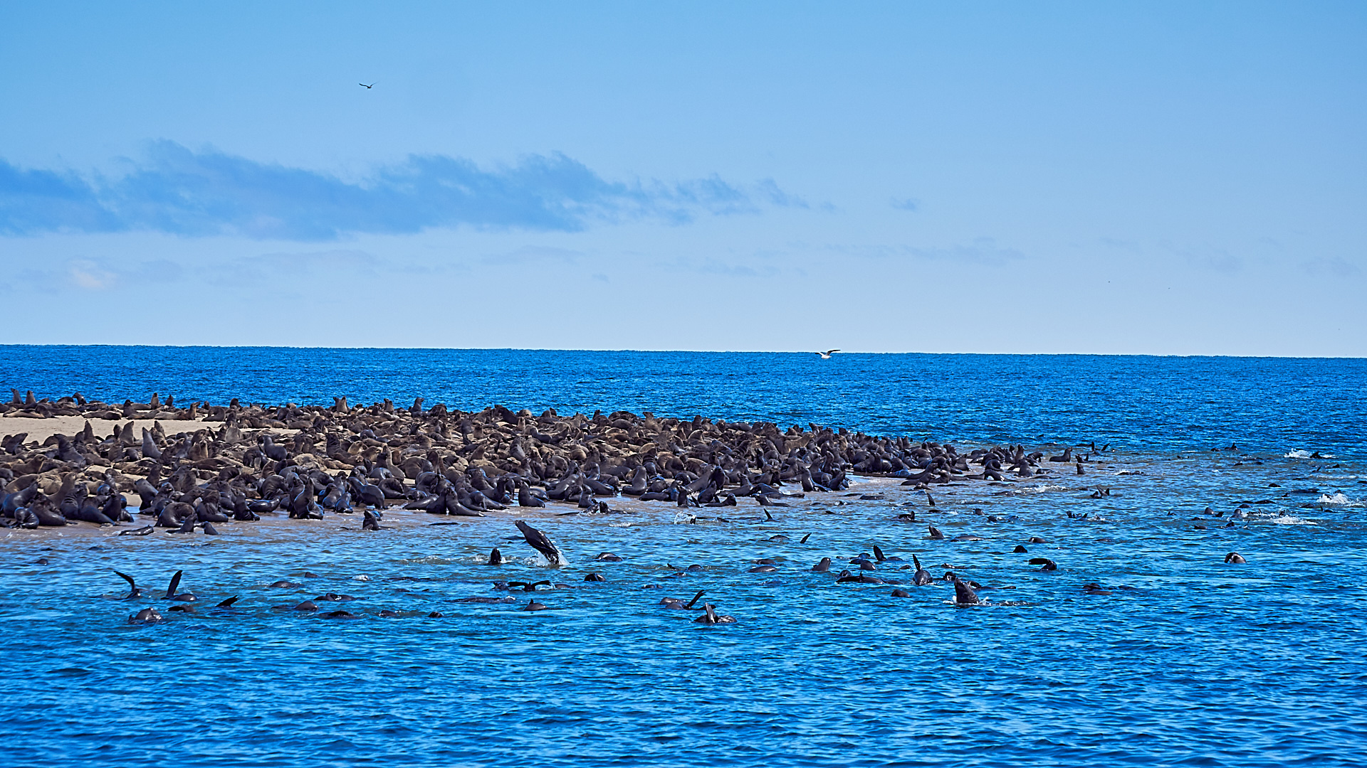 20180108 - WALVISBAY JAN 2018_13