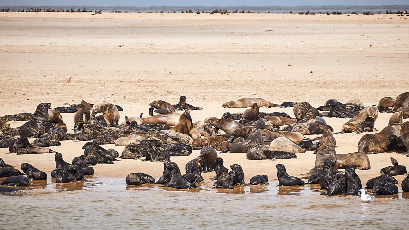 20180108 - WALVISBAY JAN 2018_20