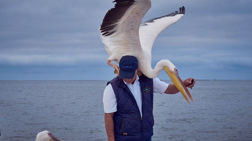 20180108 - WALVISBAY JAN 2018_34