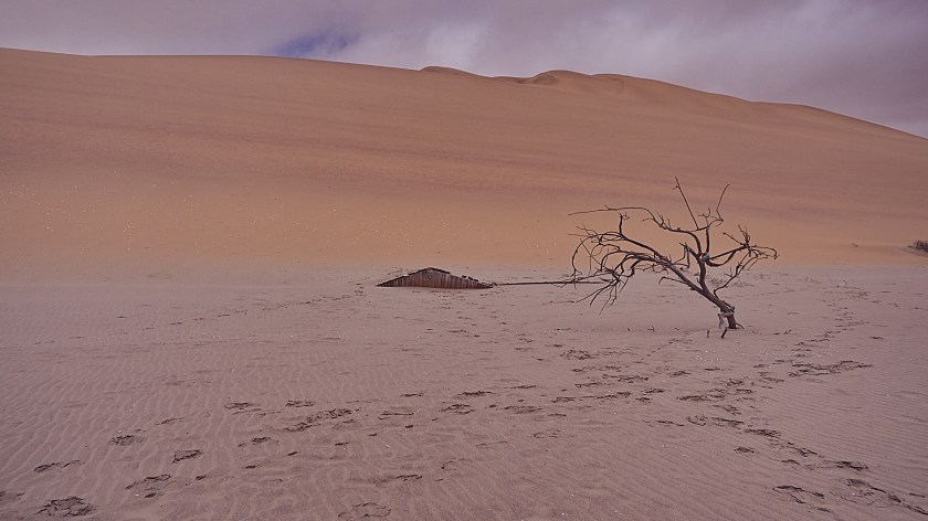 20180110 - WALVISBAY SANDWICH HARBOUR_014