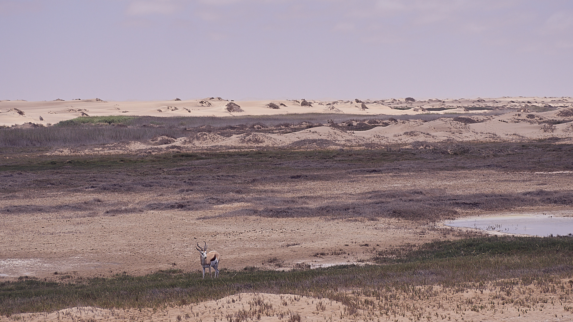 20180110 - WALVISBAY SANDWICH HARBOUR_020