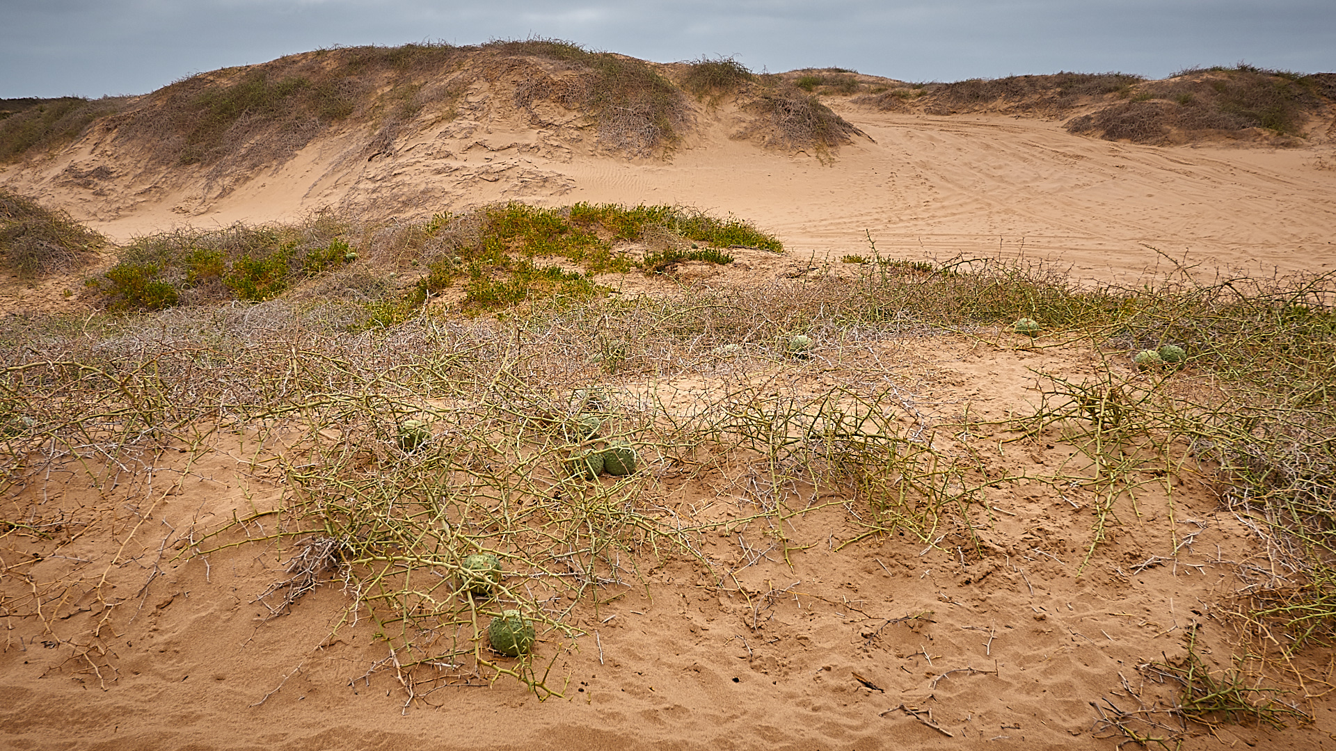 20180110 - WALVISBAY SANDWICH HARBOUR_093