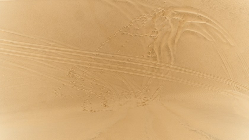 20180110 - WALVISBAY SANDWICH HARBOUR_100