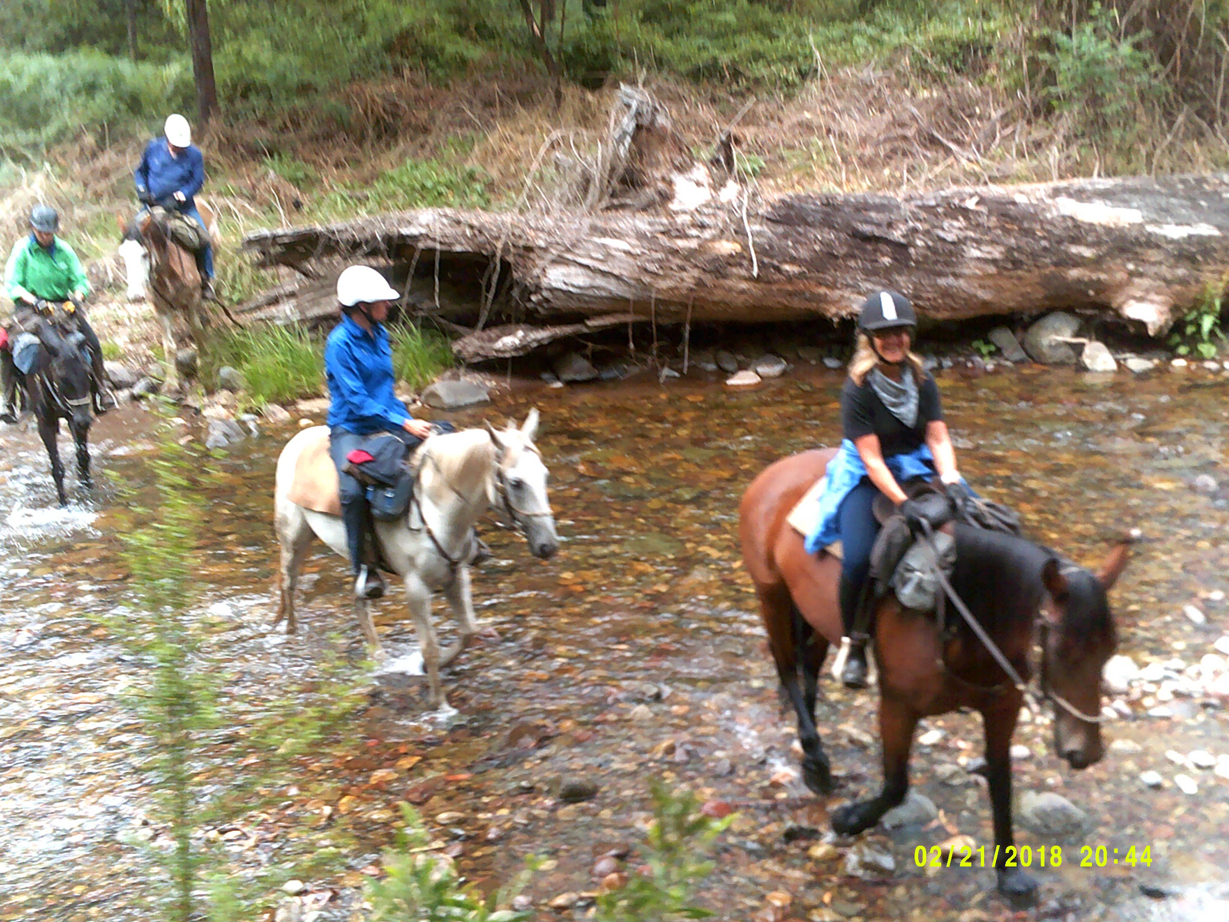 28407843_10155529522529773_1467856830_o