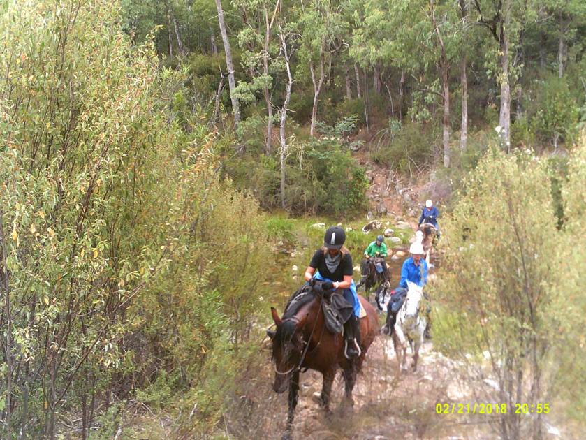 28408190_10155529522534773_615909426_o