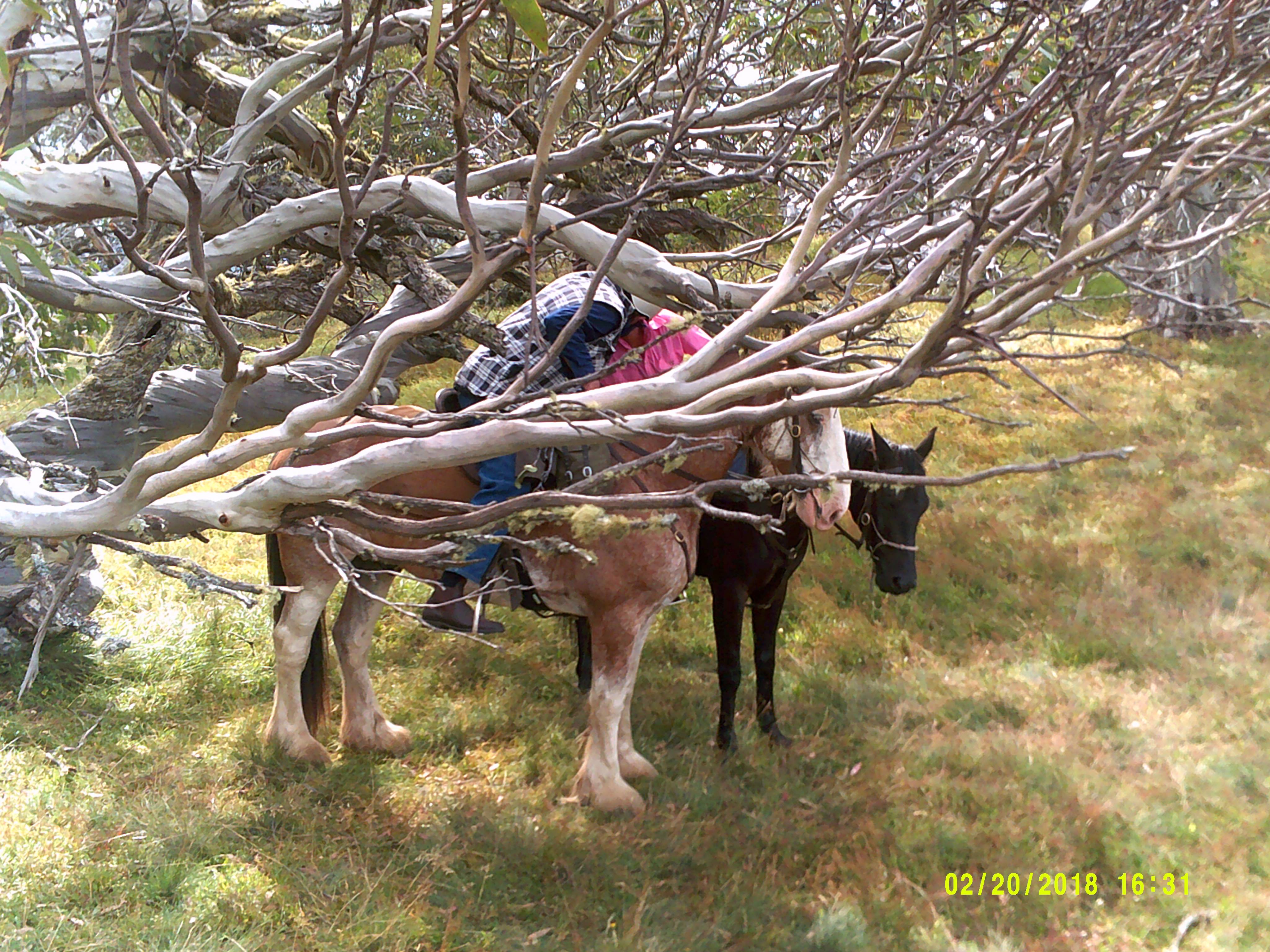 28459646_10155529517159773_394268957_o