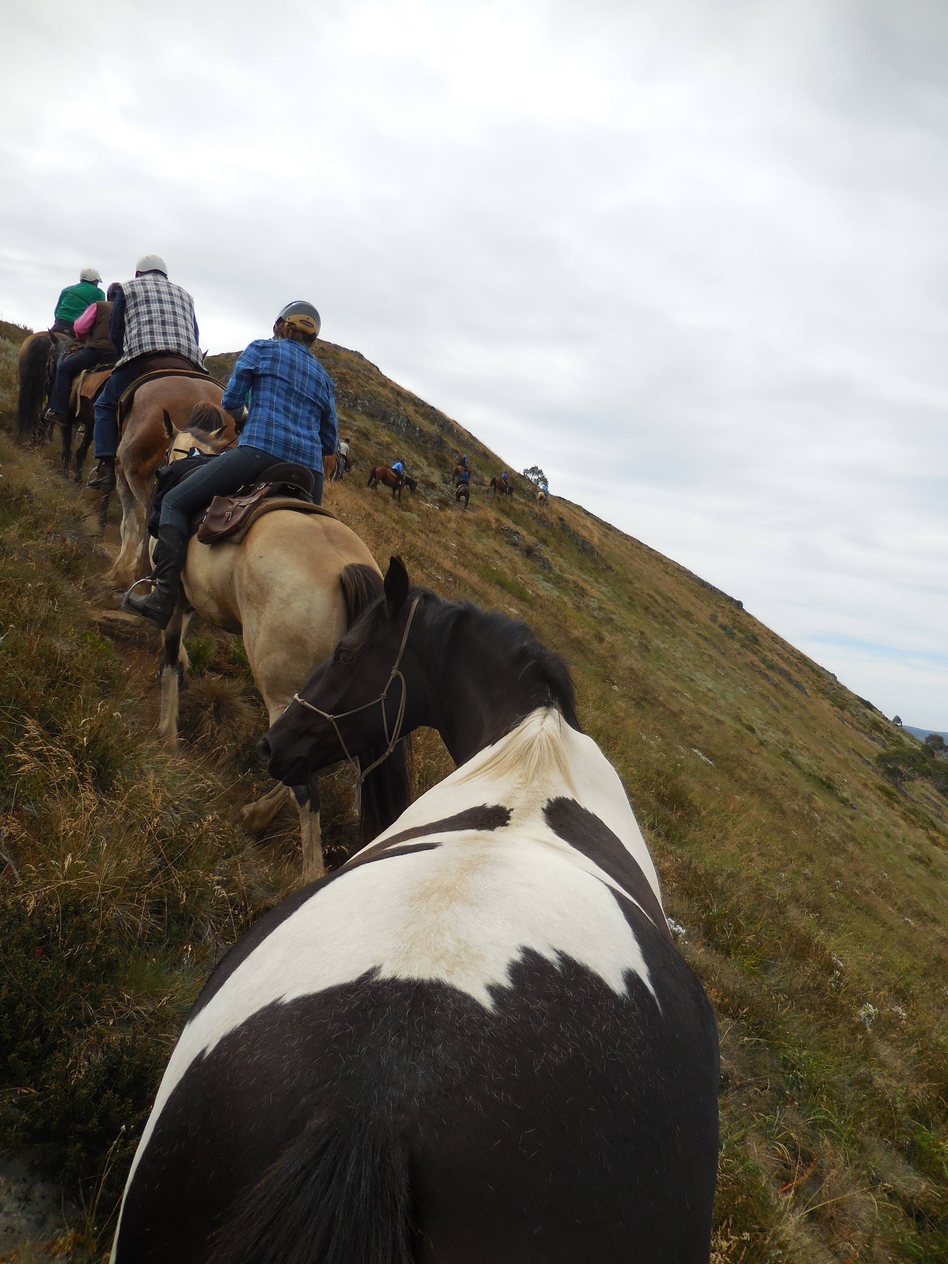 28460641_10156228324947560_1913206501_o