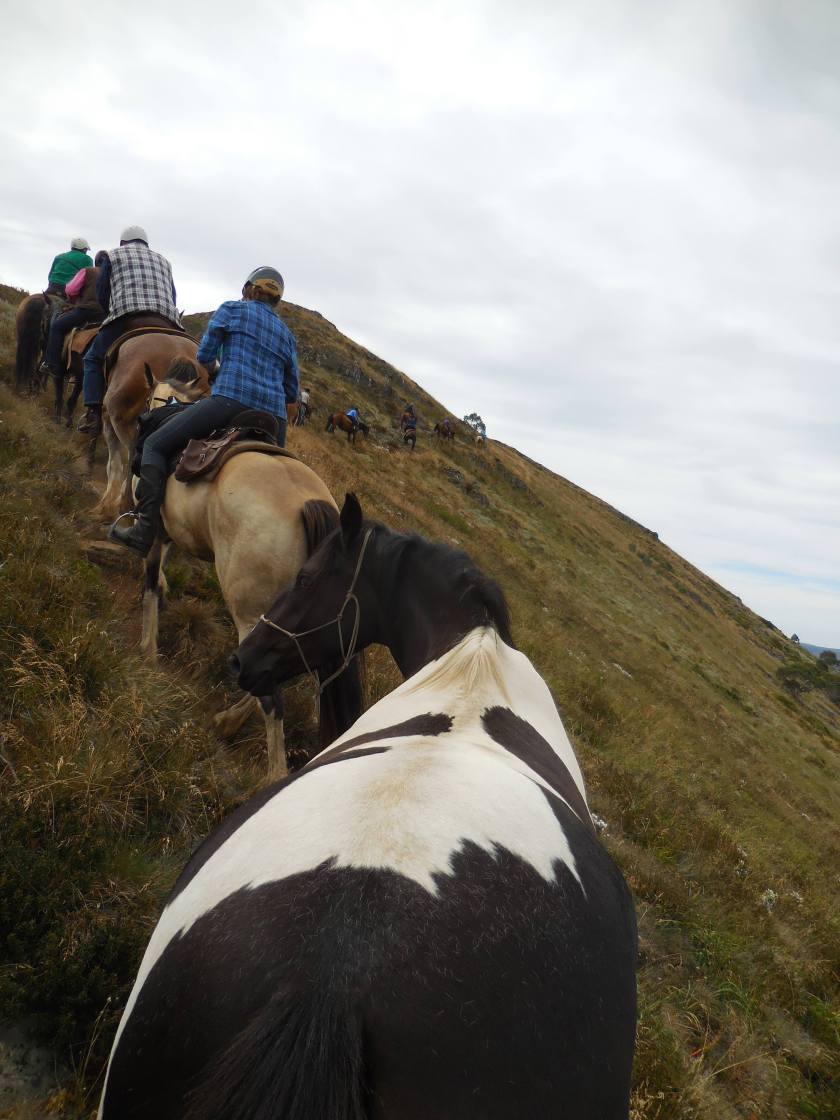 28460641_10156228324947560_1913206501_o