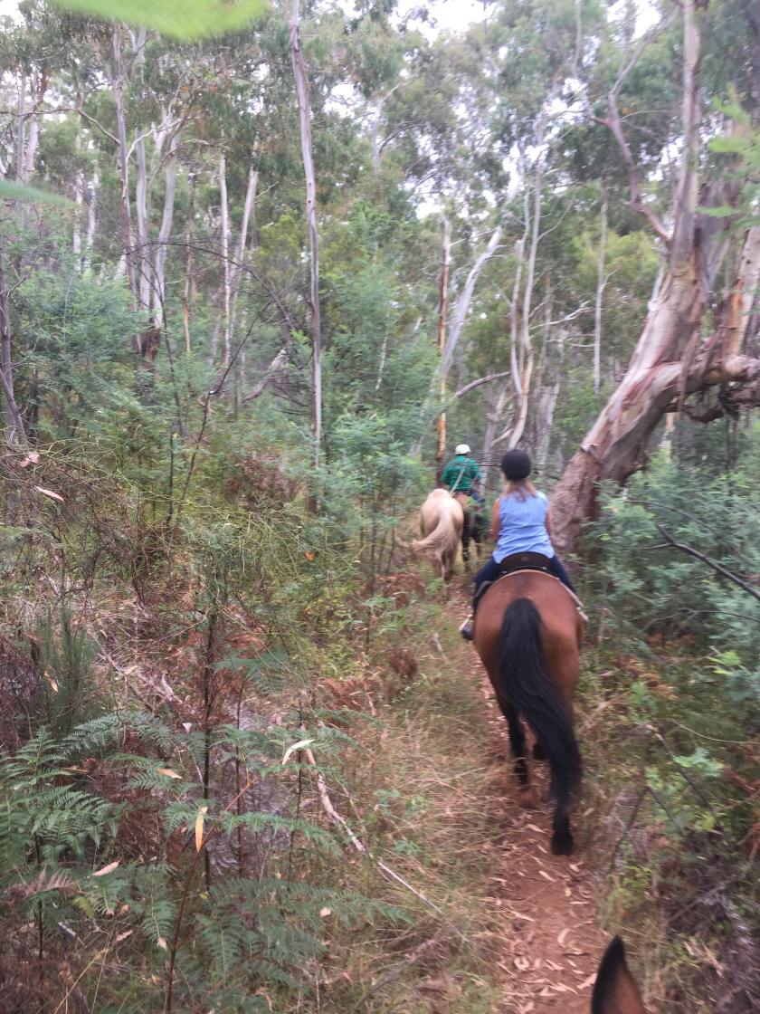 28461155_10155530819594773_1980998499_o