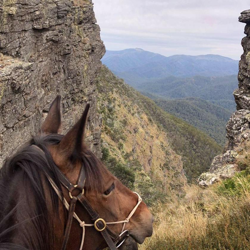 28685541_1871274449558318_5397022475848667342_n