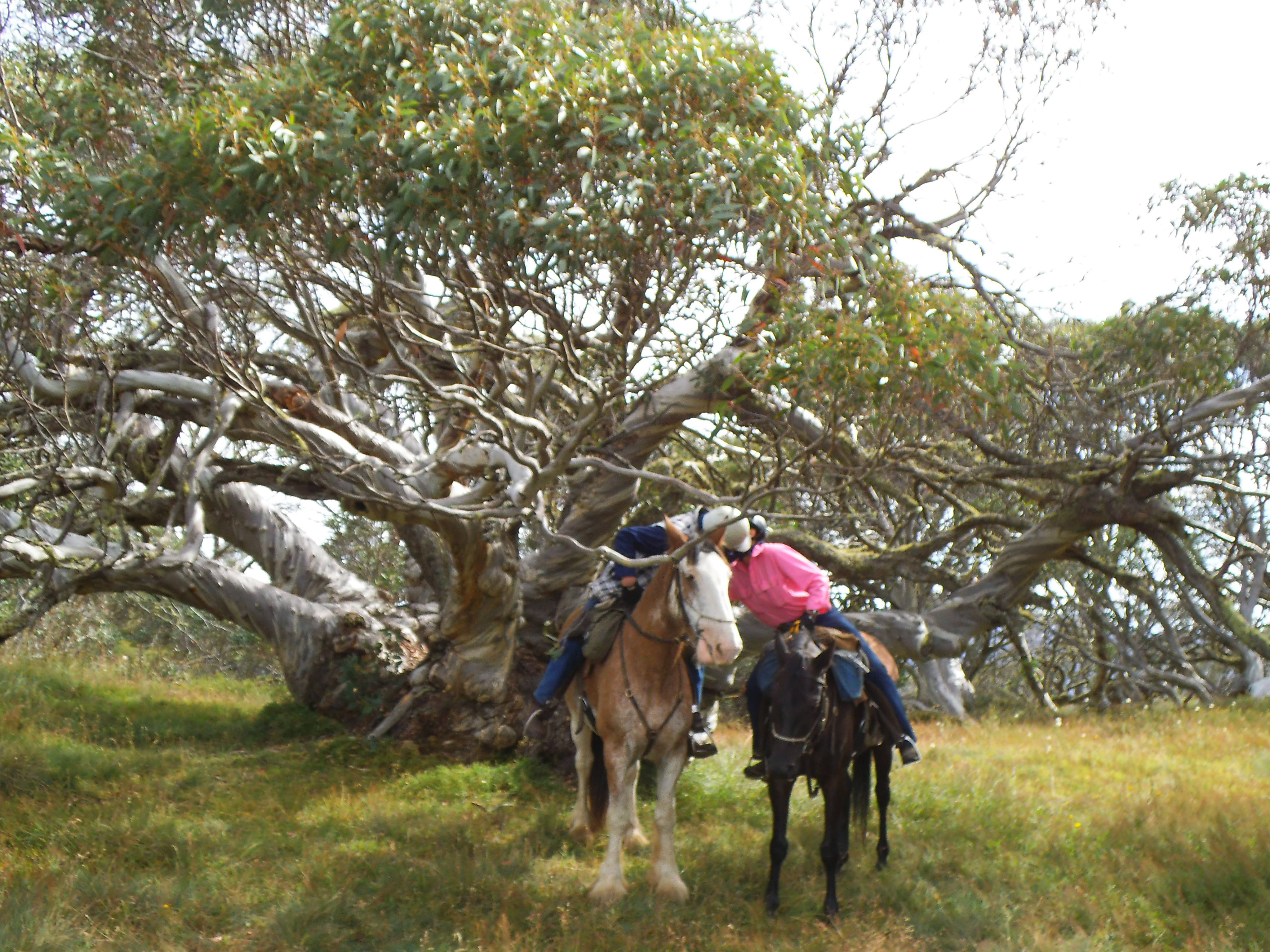 28695790_10157167939709746_2049140167_o