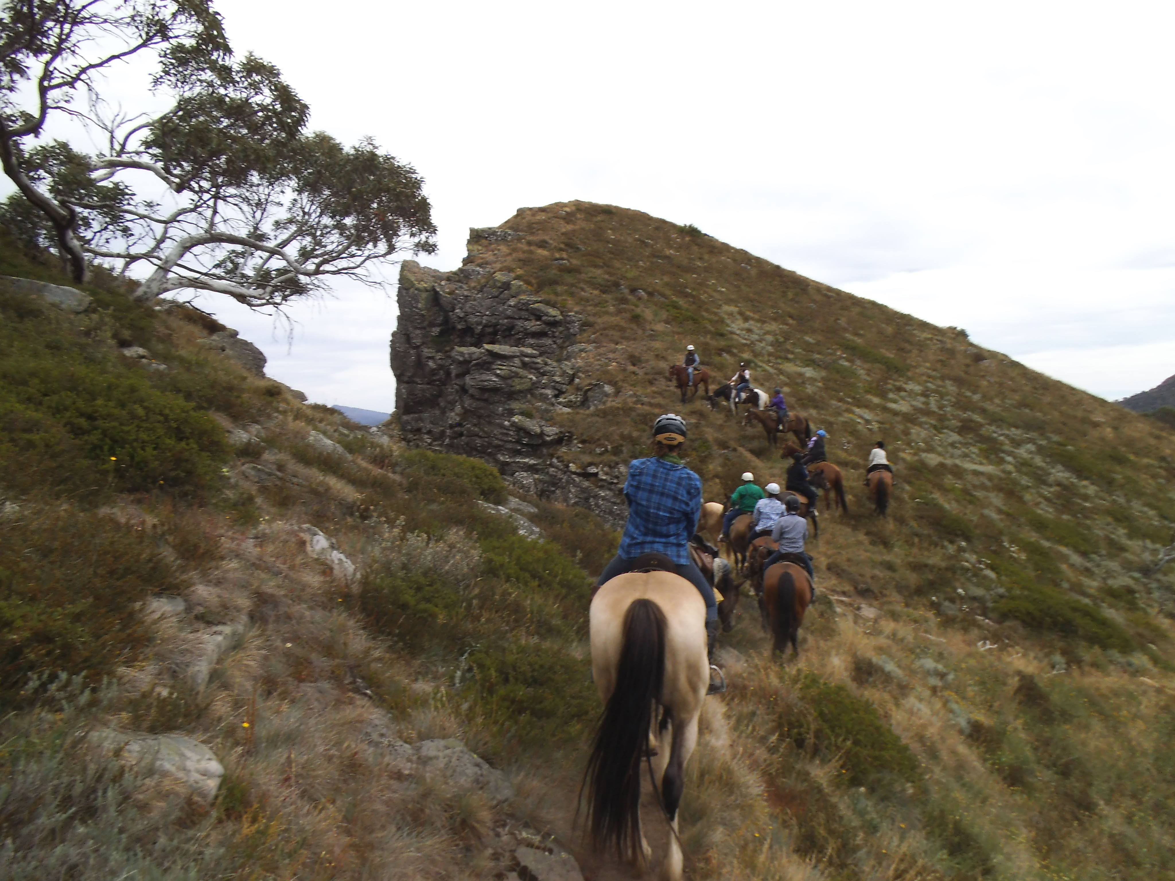 28696121_10157167946639746_2039189737_o