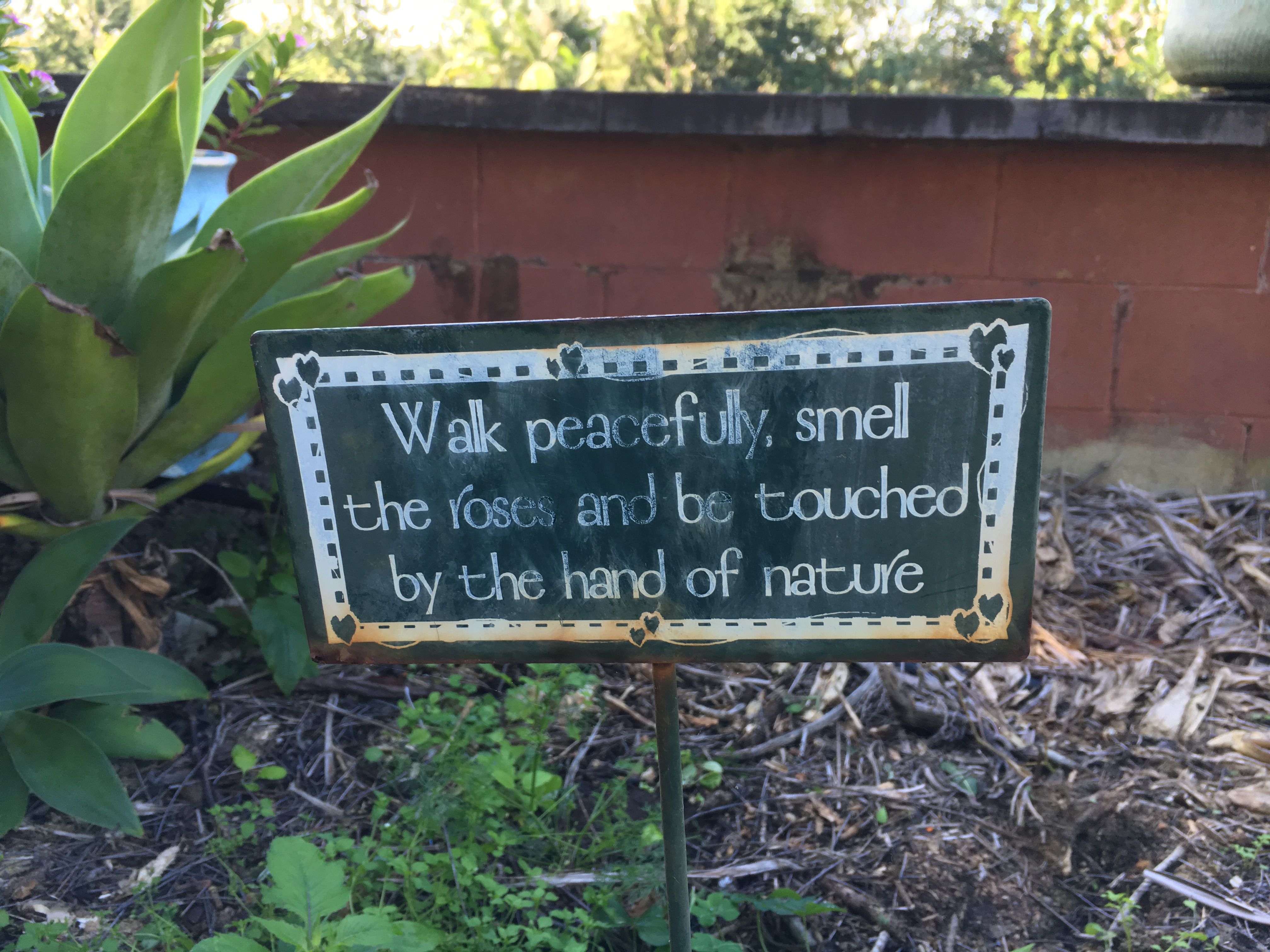 34396879_1963455603673535_176790942781538304_n (1)