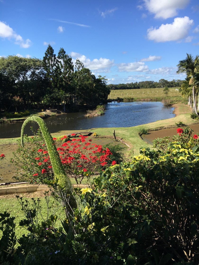 34534755_1963455503673545_7468783982683881472_n