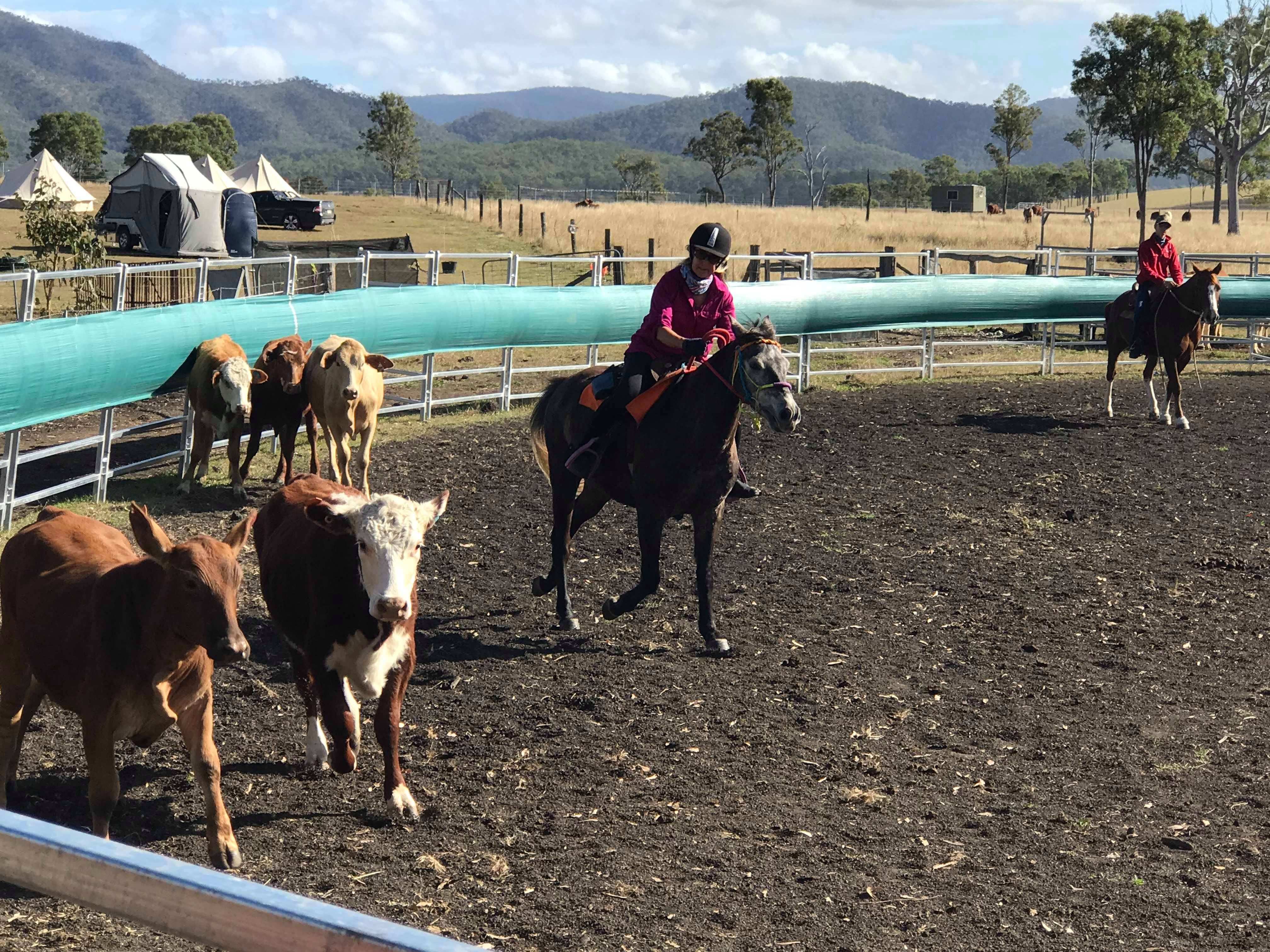 35266137_1851764681548206_2051515618837921792_n