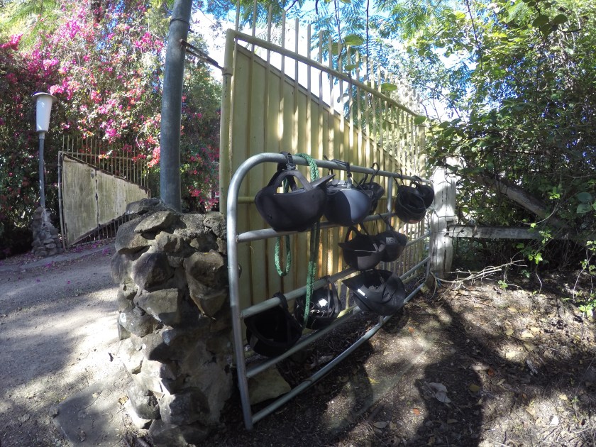 DCIM100GOPROGOPR0181.