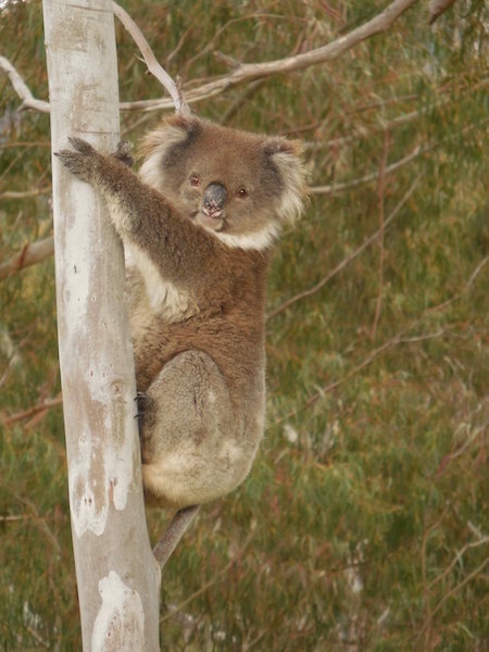 44326102_10156822232697560_1426171700550041600_o