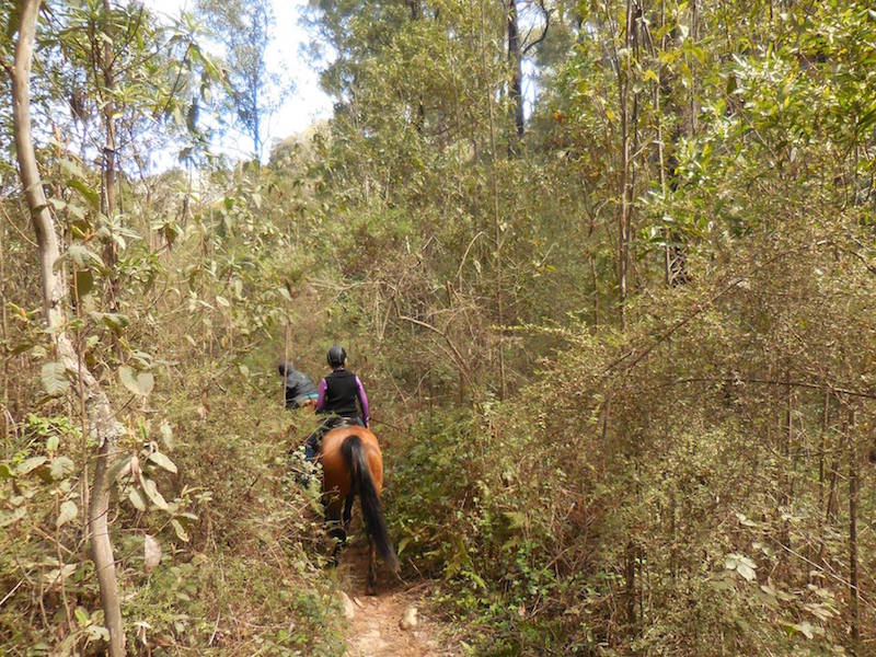 44349861_10156822227187560_6803120255745916928_o