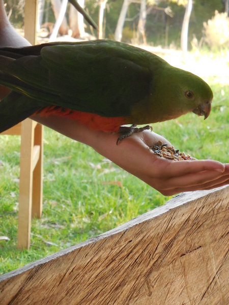 44356053_10156822228647560_4622187161926500352_o