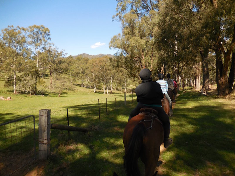 44453455_10156822227652560_1589935492126736384_o